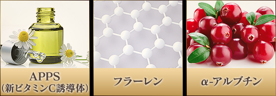 APPS(新ビタミンC誘導体),フローレン,a-アルブチン