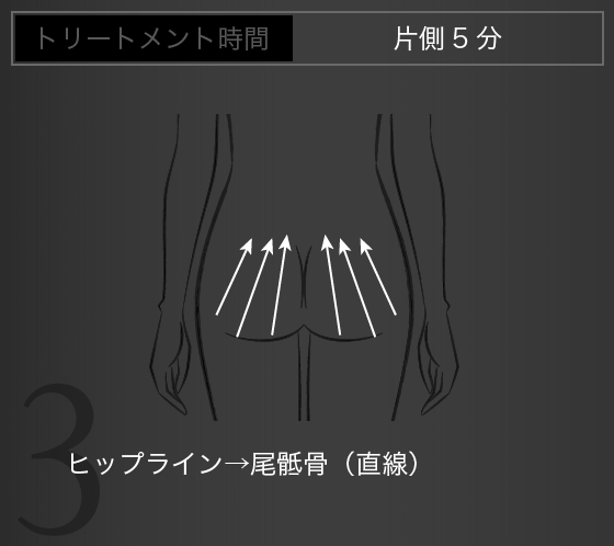 ヒップライン→尾骶骨（直線）